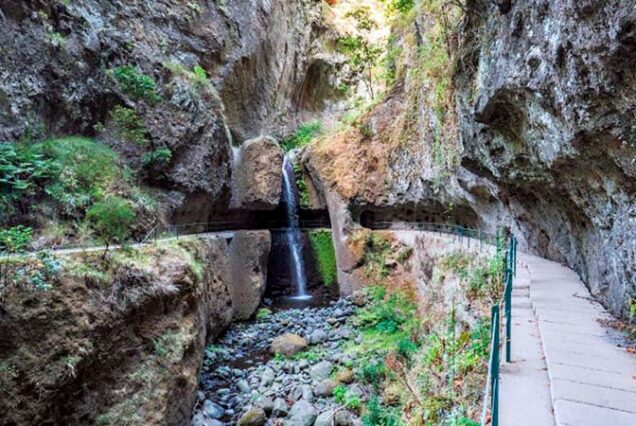 madeira-island-Levada-do-Moinho-to-Levada-Nova-Hike-madeira-taxi-01