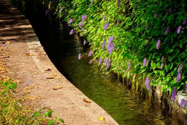 madeira-island-Levada-do-Moinho-to-Levada-Nova-Hike-madeira-taxi-02