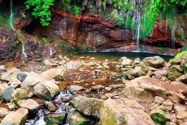 madeira-island-levada-25-waterfalls-hike--25-fontes-madeira-taxi-02