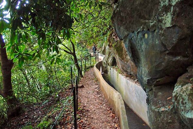 madeira-island-levada-Ribeiro-Frio-to-Portela-hike-madeira-island-taxi-00