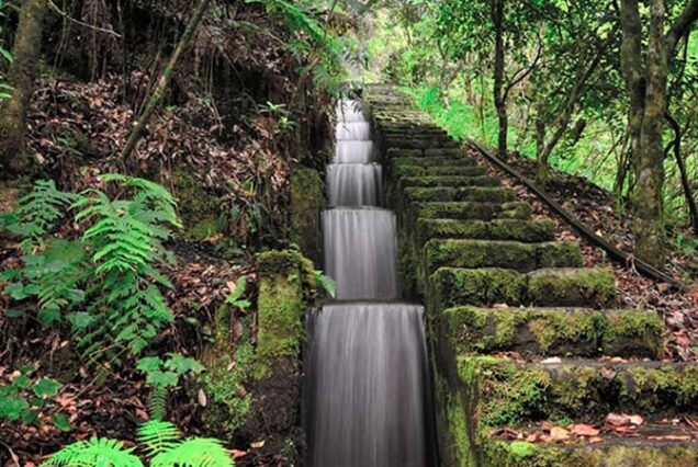 madeira-island-levada-Ribeiro-Frio-to-Portela-hike-madeira-island-taxi-02