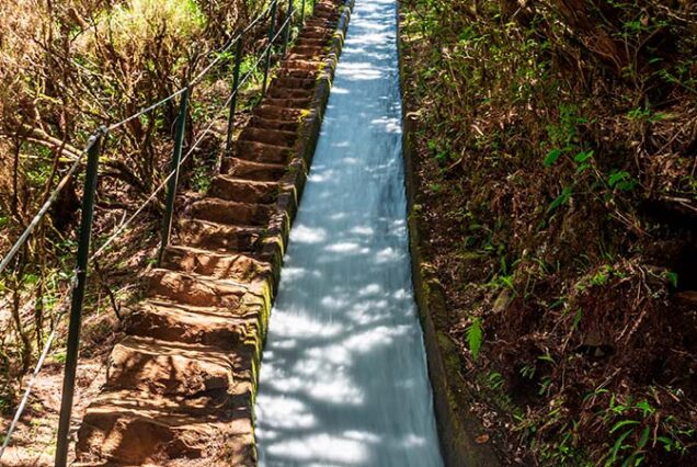 madeira-island-levada-alecrim-hike-madeira-island-02