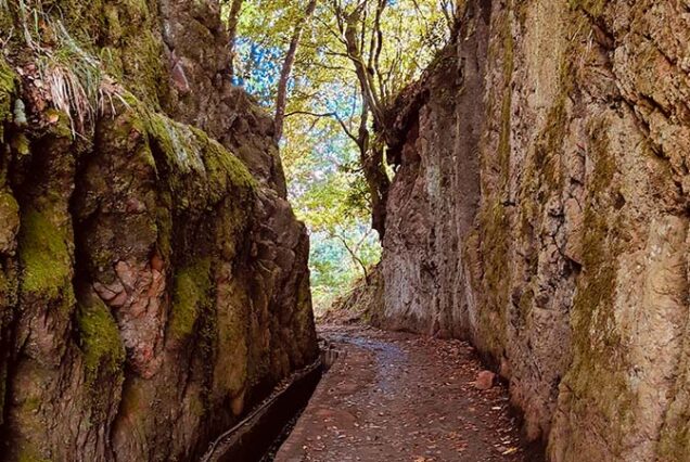 madeira-island-levada-balcoes-hike-madeira-island-02