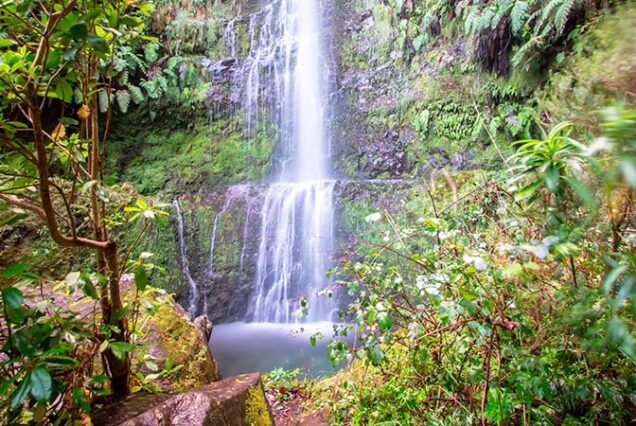 madeira-island-levada-caldeirao-verde-hike-madeira-00