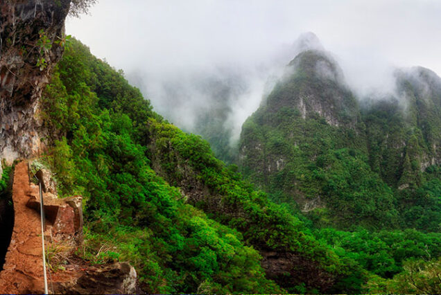 madeira-island-levada-caldeirao-verde-hike-madeira-02