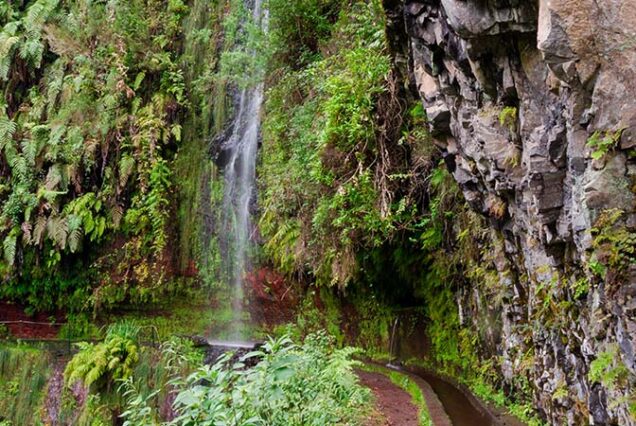 madeira-island-levada-do-rei-hike-madeira-island-01