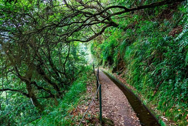 madeira-island-levada-do-rei-hike-madeira-island-02