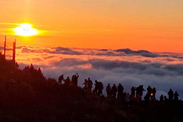 madeira-island-sunrise-tours-taxi-05