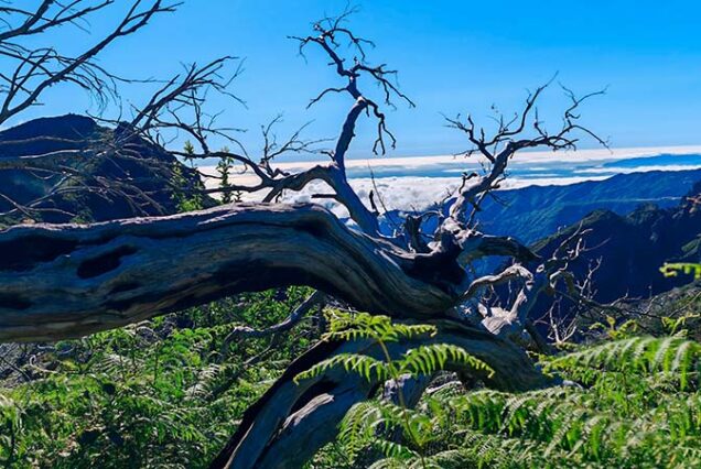 madeira-island-sunrise-watching-pico-arieiro-pico-ruivo-hike-madeira-taxi-04