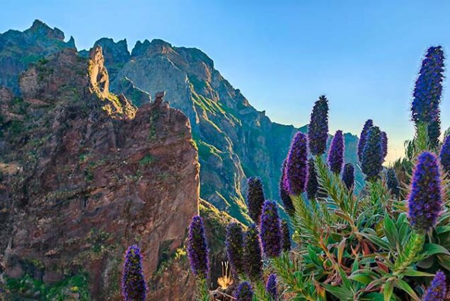 madeira-island-sunrise-watching-pico-arieiro-pico-ruivo-hike-madeira-taxi-06