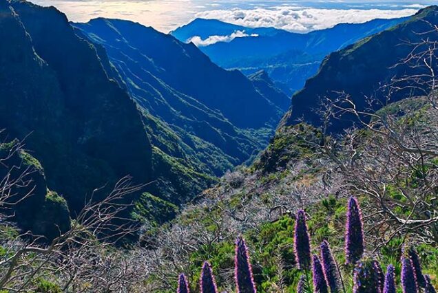 madeira-island-sunrise-watching-pico-arieiro-pico-ruivo-hike-madeira-taxi-09