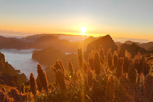 madeira-island-sunset-tour-taxi-05